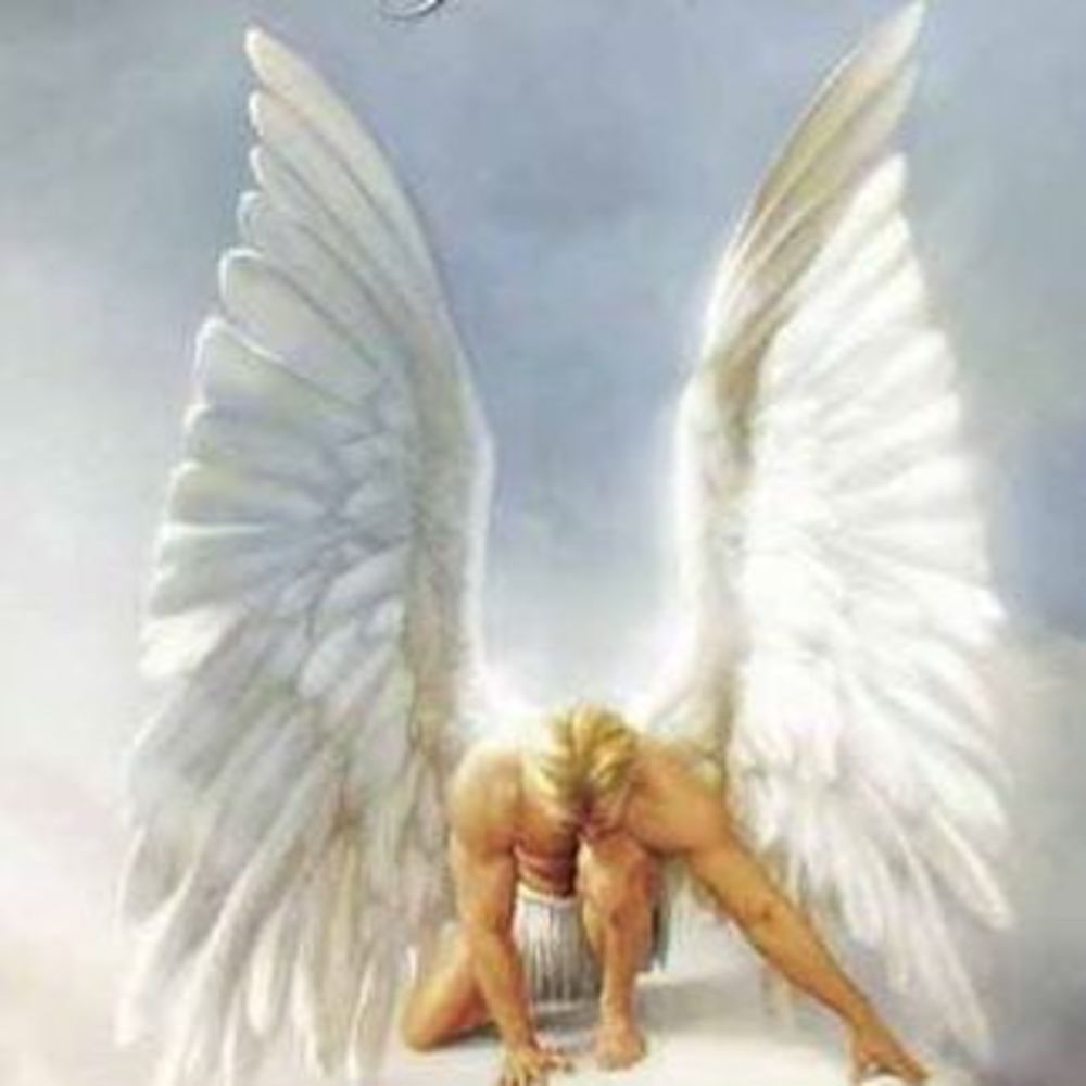 Meet your Posher, Lesa